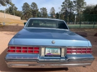 1985 Pontiac Parisienne for sale in Michigan (ID-140494)