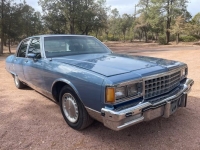 1985 Pontiac Parisienne for sale in Michigan (ID-140494)