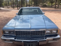 1985 Pontiac Parisienne for sale in Michigan (ID-140494)