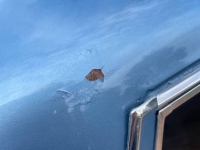 1985 Pontiac Parisienne for sale in Michigan (ID-146350)