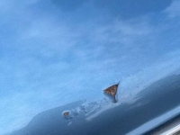 1985 Pontiac Parisienne for sale in Michigan (ID-146350)