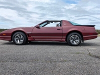 1985 Pontiac Trans Am for sale in Riverhead, New York (ID-128030)