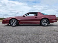 1985 Pontiac Trans Am for sale in Riverhead, New York (ID-128030)