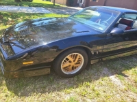 1985 Pontiac Trans Am for sale in Michigan (ID-142103)