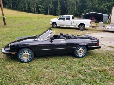 1986 Alfa Romeo Spider for sale