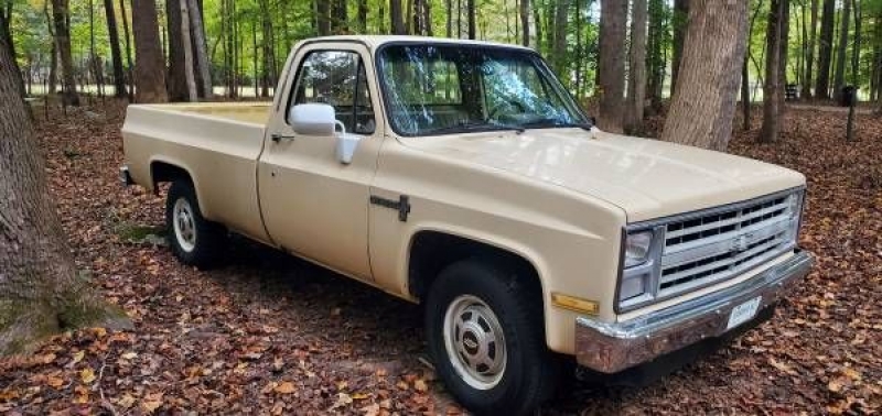 1986 Chevrolet C20 for sale in Michigan (ID-93538)