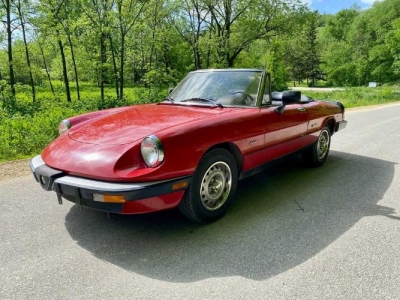 1986 Alfa Romeo Spider for sale