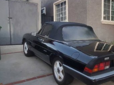 1986 Alfa Romeo Spider for sale