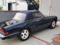 1986 Alfa Romeo Spider for sale in Michigan (ID-121311)