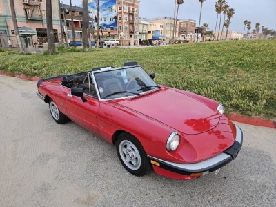 1986 Alfa Romeo Spider for sale