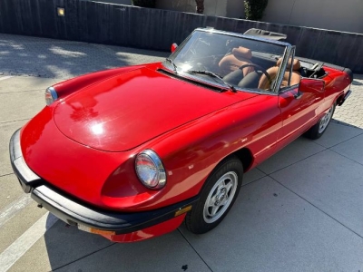 1986 Alfa Romeo Spider for sale