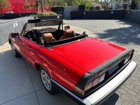 1986 Alfa Romeo Spider for sale in Michigan (ID-141644)