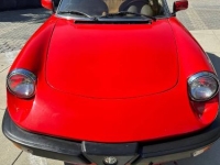 1986 Alfa Romeo Spider for sale in Michigan (ID-141644)