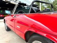 1986 Alfa Romeo Spider for sale in Riverhead, New York (ID-144879)