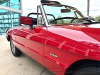 1986 Alfa Romeo Spider for sale in Riverhead, New York (ID-144879)