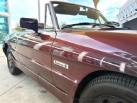 1986 Alfa Romeo Spider for sale in Riverhead, New York (ID-155564)