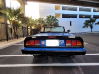 1986 Alfa Romeo Spider Veloce for sale in Michigan (ID-122125)