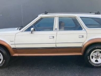 1986 AMC Eagle for sale in Michigan (ID-127593)