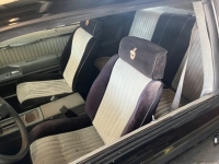 1986 Buick Regal for sale in Michigan (ID-117170)
