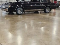 1986 Buick Regal for sale in Michigan (ID-131911)