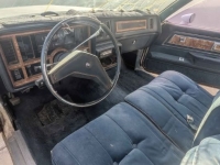 1986 Buick Regal for sale in Michigan (ID-137886)