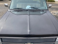 1986 Chevrolet C10 for sale in Michigan (ID-113945)