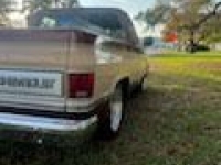 1986 Chevrolet C10 for sale in Michigan (ID-115004)