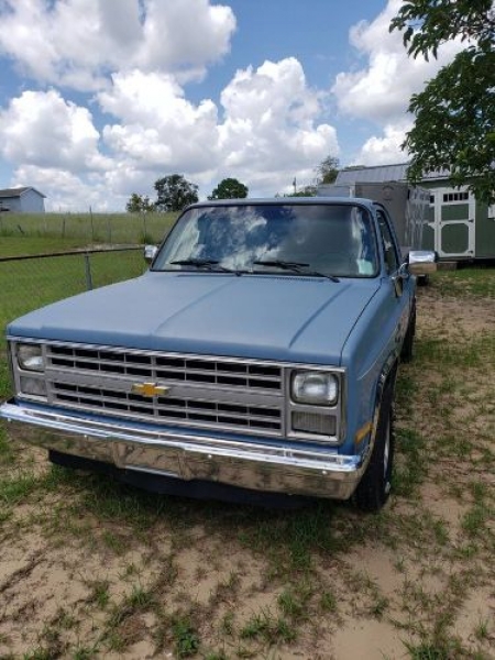 1986 Chevrolet C10 for sale in Michigan (ID-119711) 1986 Chevrolet C10 for sale in Michigan (ID-119711)
