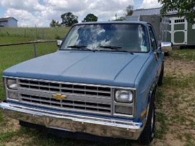 1986 Chevrolet C10 for sale