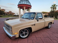 1986 Chevrolet C10 for sale in Michigan (ID-121435)