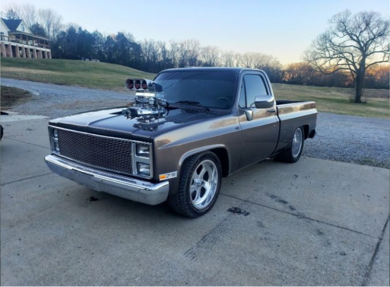 1986 Chevrolet C10 for sale in Michigan (ID-123497)