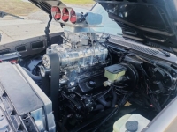 1986 Chevrolet C10 for sale in Michigan (ID-123497)