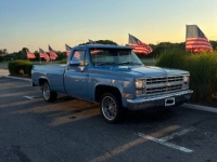 1986 Chevrolet C10 for sale in Michigan (ID-144895)