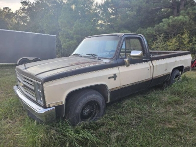 1986 Chevrolet C10 for sale