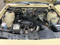 1986 Chevrolet Cavalier for sale in Michigan (ID-127209)