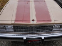 1986 Chevrolet El Camino for sale in Michigan (ID-121833)