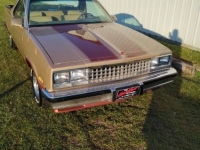1986 Chevrolet El Camino for sale in Michigan (ID-121833)