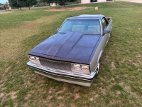 1986 Chevrolet El Camino for sale in Michigan (ID-162987)