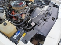 1986 Chevrolet Monte Carlo for sale in Michigan (ID-108289)