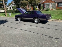 1986 Chevrolet Monte Carlo for sale in Michigan (ID-120686)