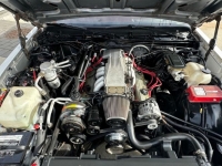 1986 Chevrolet Monte Carlo for sale in Michigan (ID-126239)