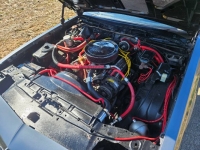 1986 Chevrolet Monte Carlo for sale in Michigan (ID-138897)