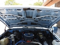 1986 Chevrolet Silverado for sale in Michigan (ID-110368)