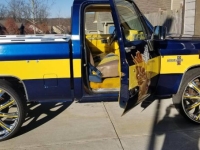 1986 Chevrolet Silverado for sale in Michigan (ID-132855)