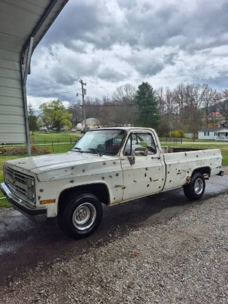 1986 Chevrolet Silverado for sale in Michigan (ID-162097)