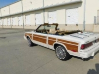 1986 Chrysler LeBaron for sale in Michigan (ID-162559)