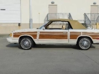 1986 Chrysler LeBaron for sale in Michigan (ID-162559)