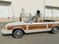 1986 Chrysler LeBaron for sale in Michigan (ID-162559)