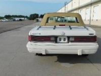 1986 Chrysler LeBaron for sale in Michigan (ID-162559)