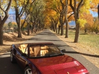 1986 Ferrari Mondial for sale in Michigan (ID-125628)